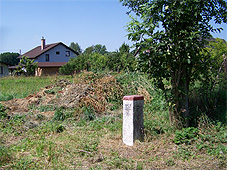 min 12 26.jpg